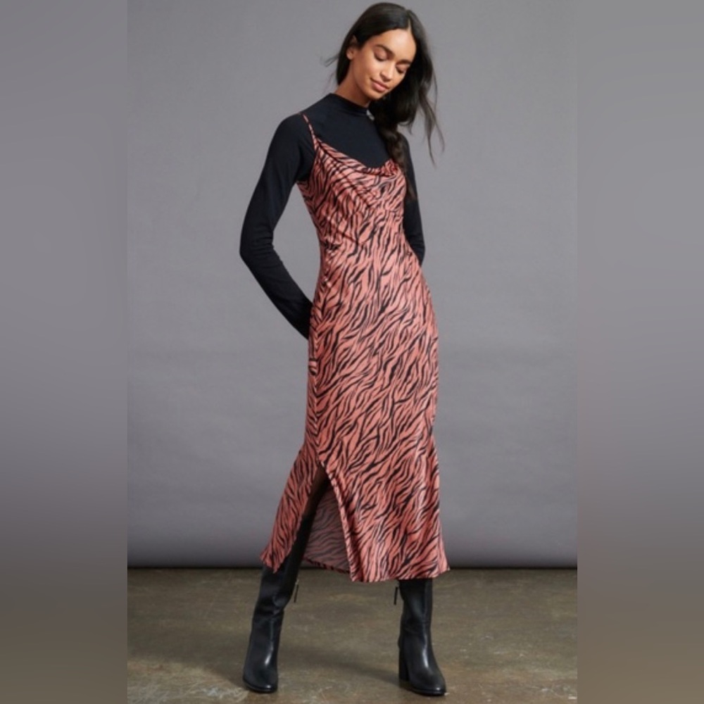 Anthropologie Midi Zebra Dress